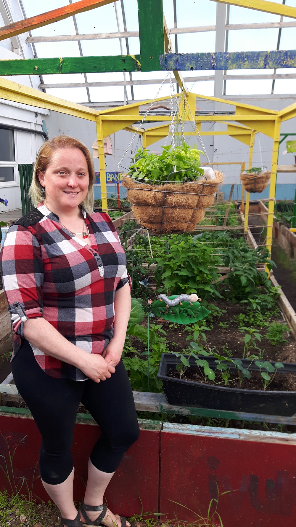 Ray Solotki profile picture