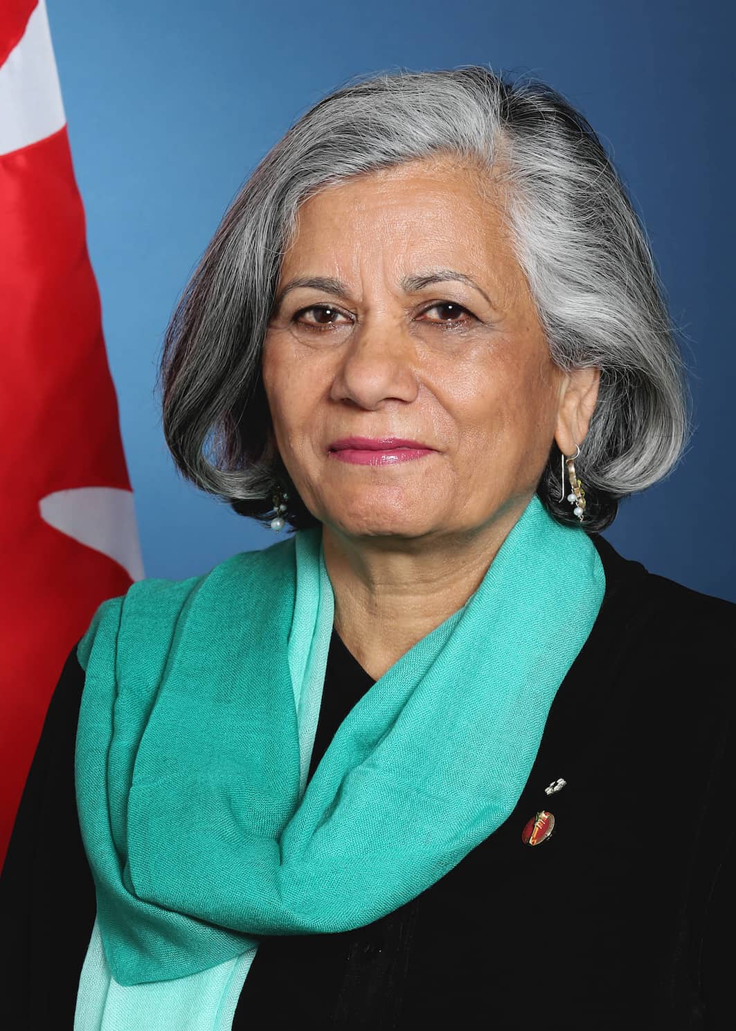 Senator Ratna Omidvar profile picture