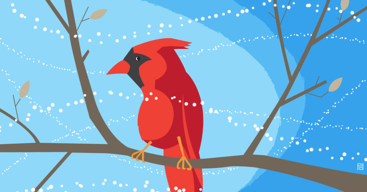 Illustration of a cardinal bird on a branch