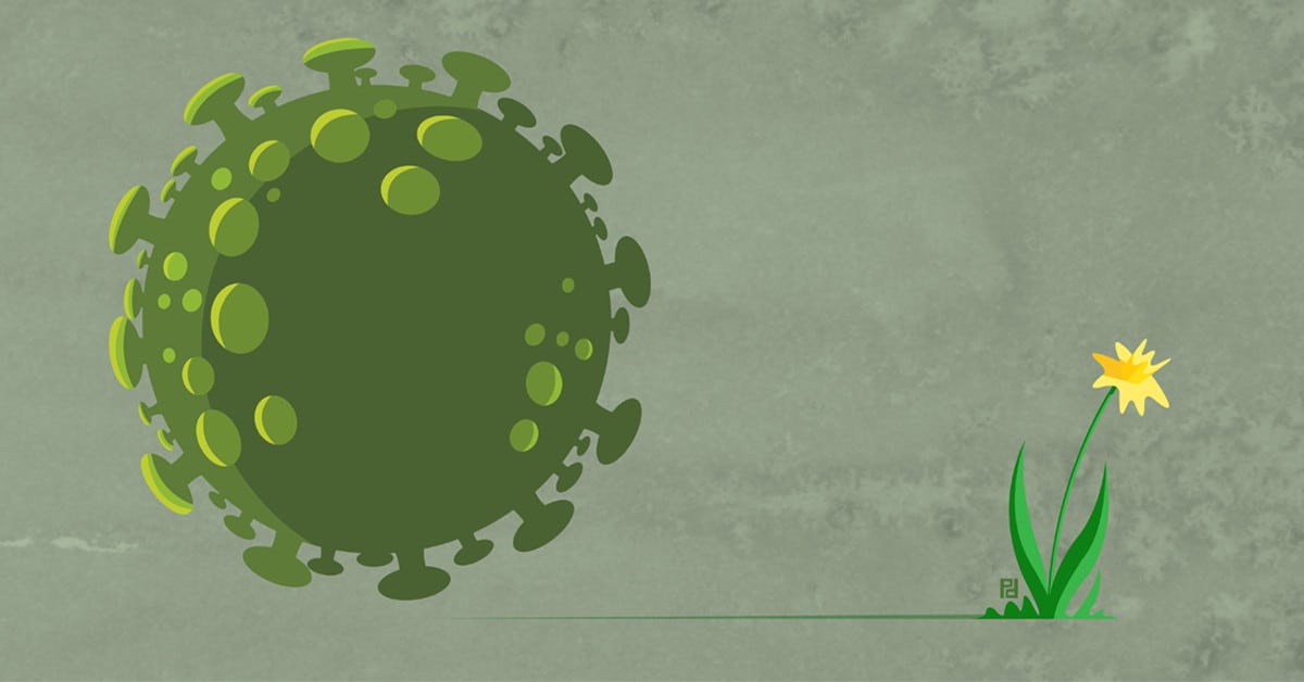 illustration of COVID-19 virus and yellow flower