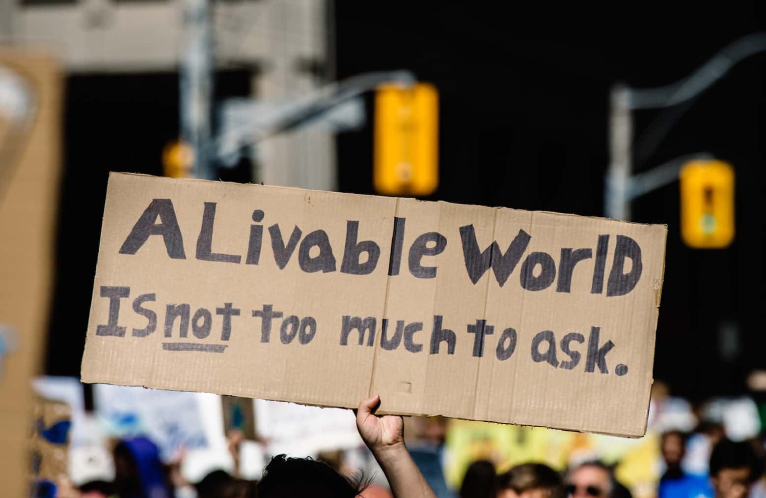 A person holding a poster that says "A Liveable World is not too much to ask."