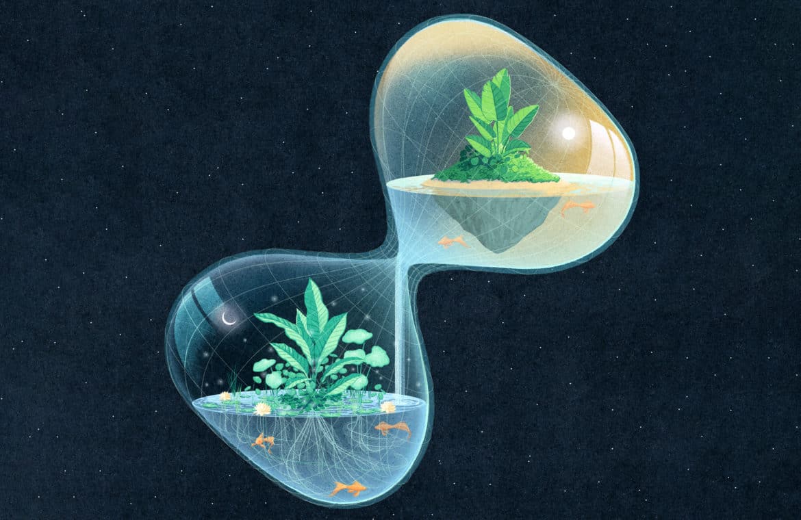 illustration of an hourglass with plants inside suspended in space.