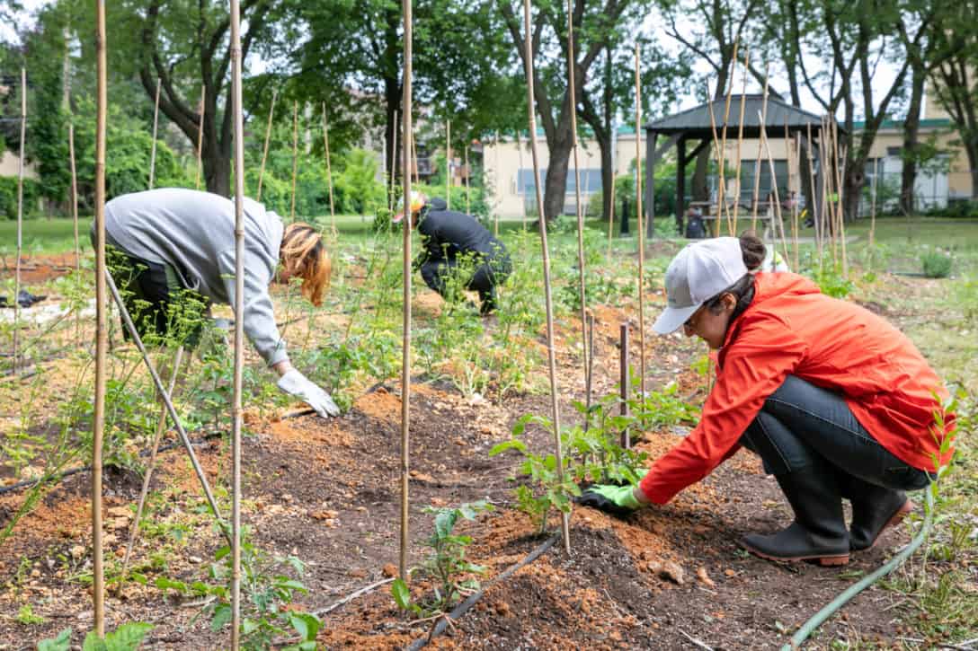 Two volunteers work in a garden near a long-term care home.