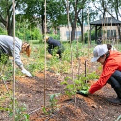 Two volunteers work in a garden near a long-term care home.