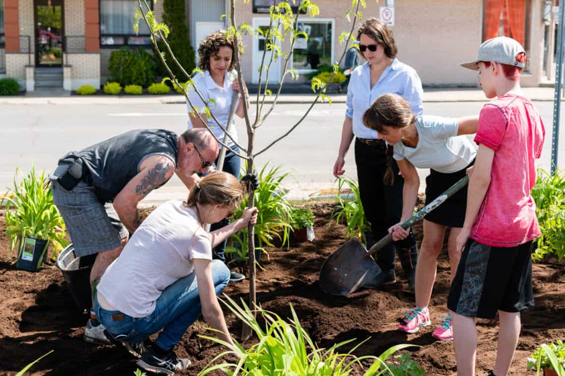 A group of volunteers planting a tree.