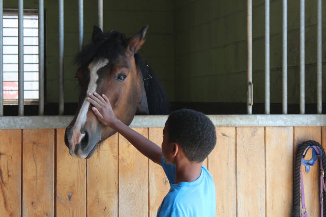 A child is looking up and has a hand softly on the snout of a horse.