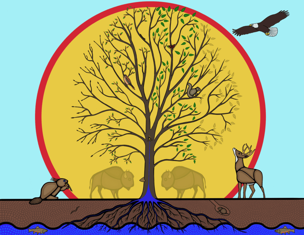 Illustration of a tree with visible roots and water below the roots. Animals surround the tree and behind the tree is a large sun.