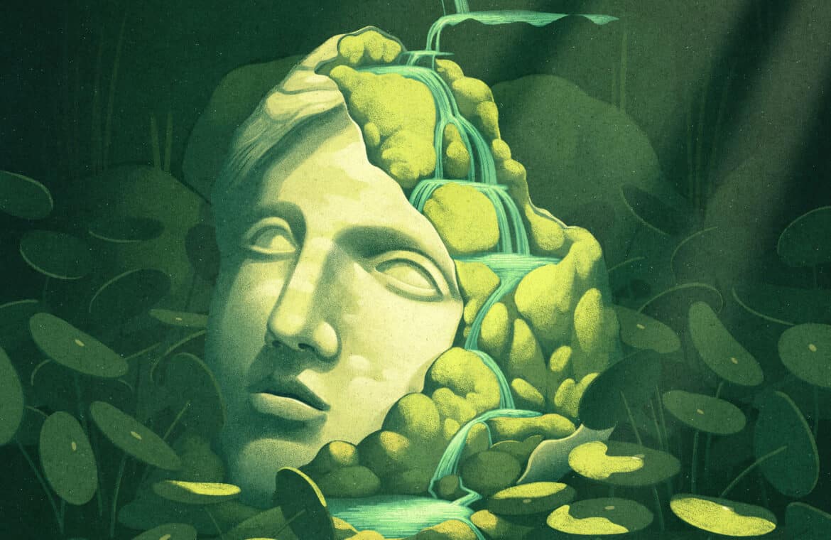 A broken statue of a head has plants growing in it and around it. A stream of water flows through the plants in the statue.