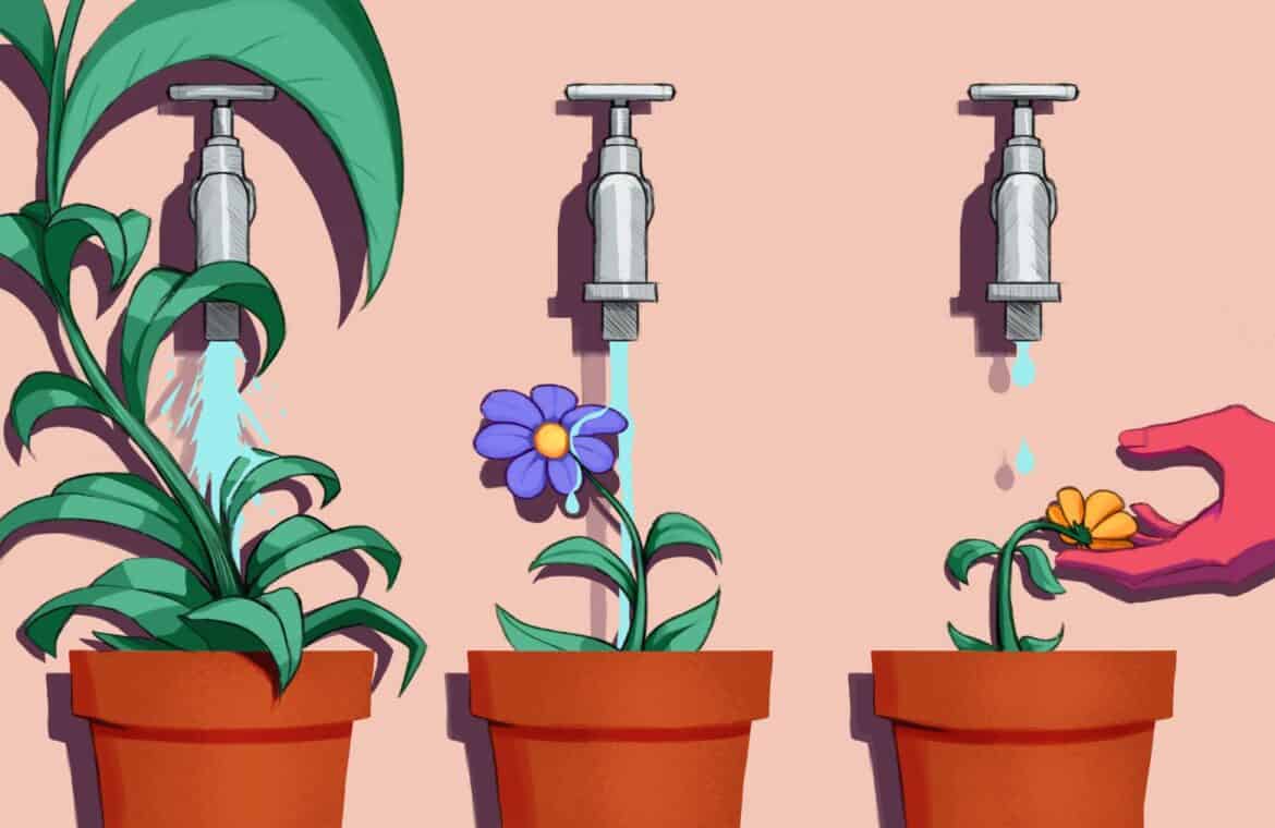3 pots with plants and a water faucet above each. The first plan is largest with lots of water flowing from the faucet, the middle plant is half the size with less water and the final plant is drooping with only drops falling from the faucet.
