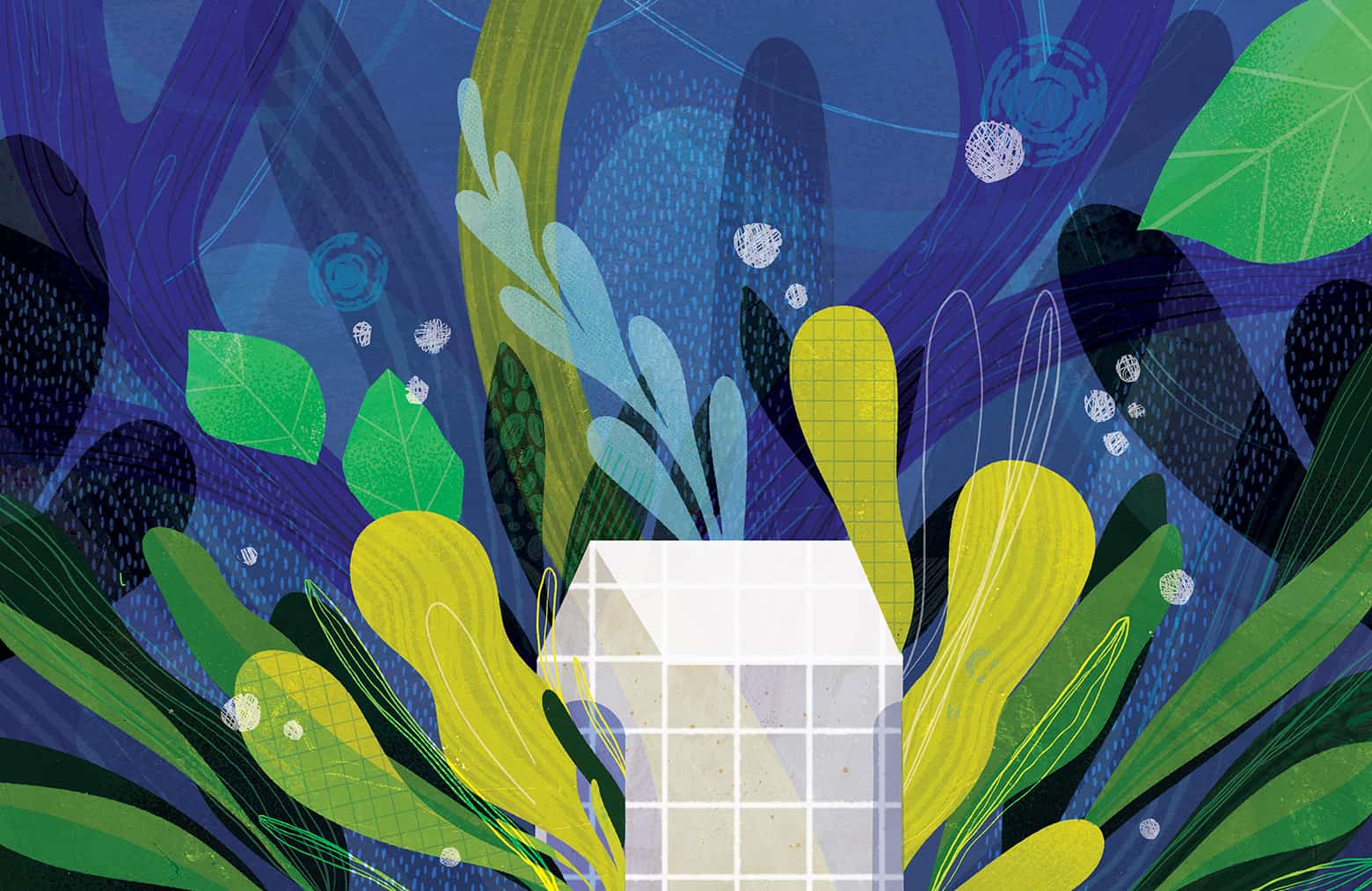 House immersed in plants.