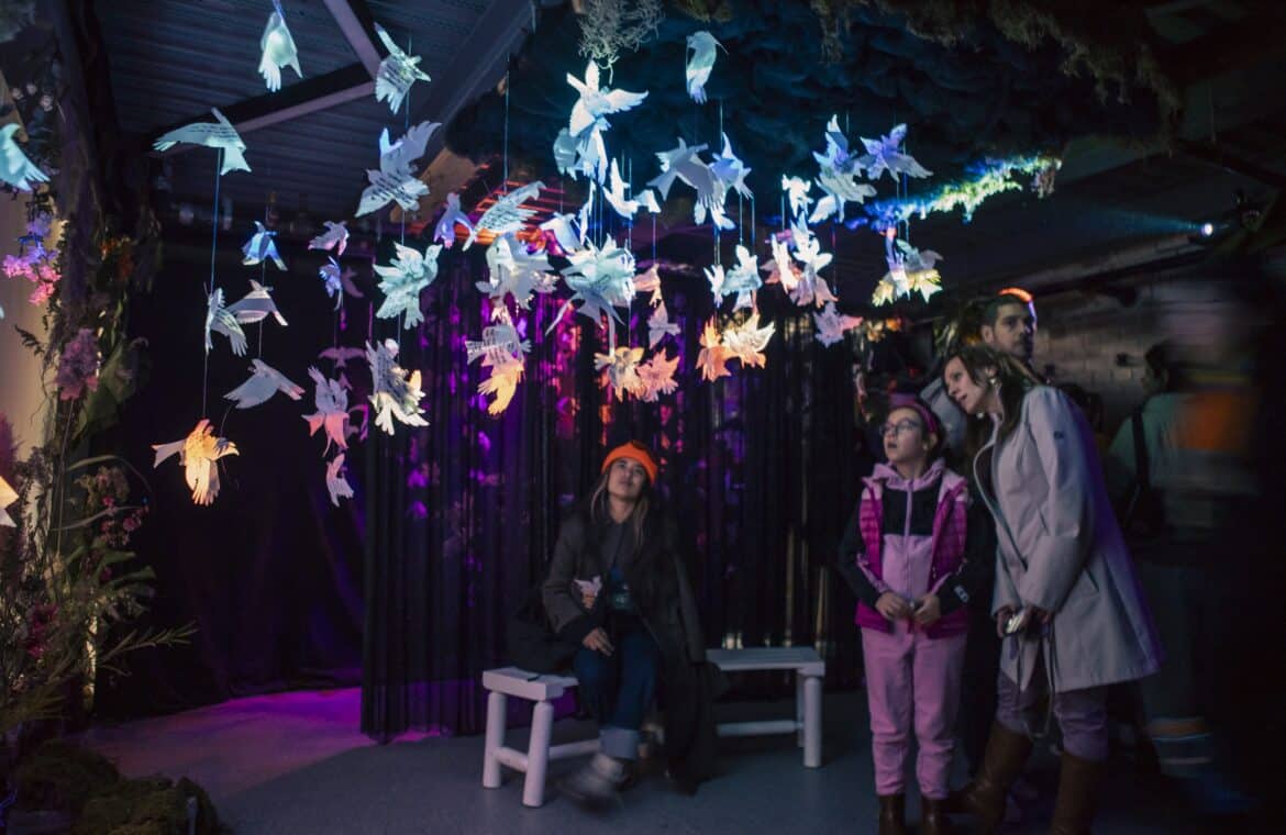 An intergenerational group of people stand inside Space for Grief watching a film projected onto paper birds that act as both canvas and sculpture, casting a shadow of a murmuration onto the screen behind it.