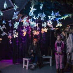 An intergenerational group of people stand inside Space for Grief watching a film projected onto paper birds that act as both canvas and sculpture, casting a shadow of a murmuration onto the screen behind it.