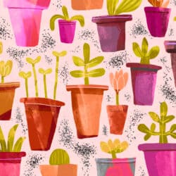 A variety of plants growing in brightly coloured pots with scattered soil
