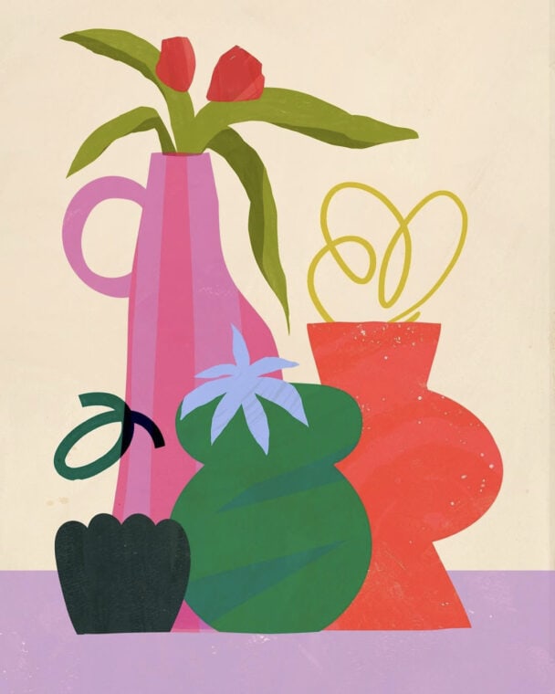 Vases with plants and flowers