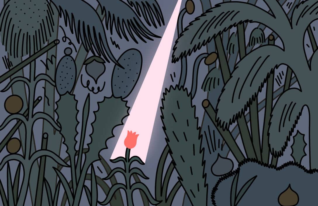 A small flower is overshadowed by the undergrowth. A ray of light pierces through to reach it.