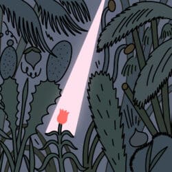 A small flower is overshadowed by the undergrowth. A ray of light pierces through to reach it.