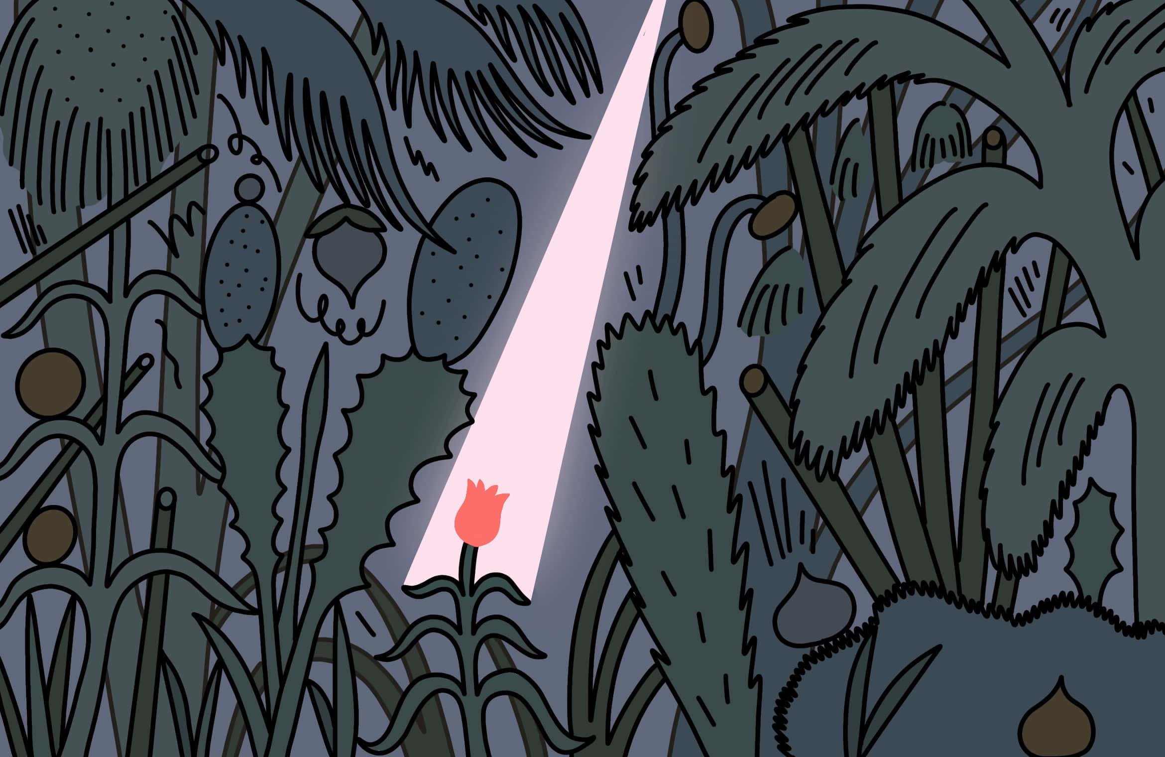 A small flower is overshadowed by the undergrowth. A ray of light pierces through to reach it.