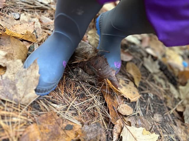 How a new funding relationship is transforming children’s mental health in Canada