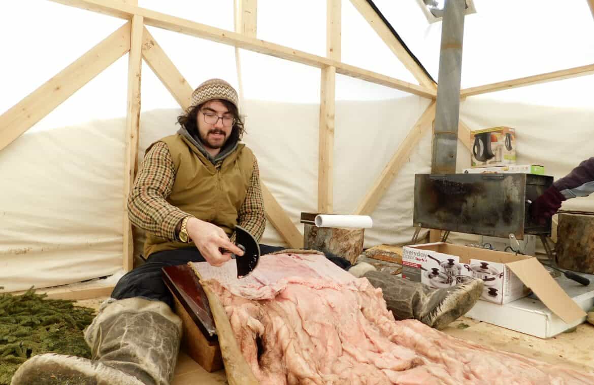 Nicholas Flowers in Inotsiavik’s tupik, cleaning a sealskin with an ulu.