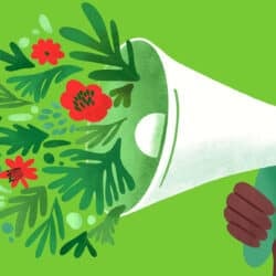 An illustration of a megaphone with flowers coming out of it, on a green background.